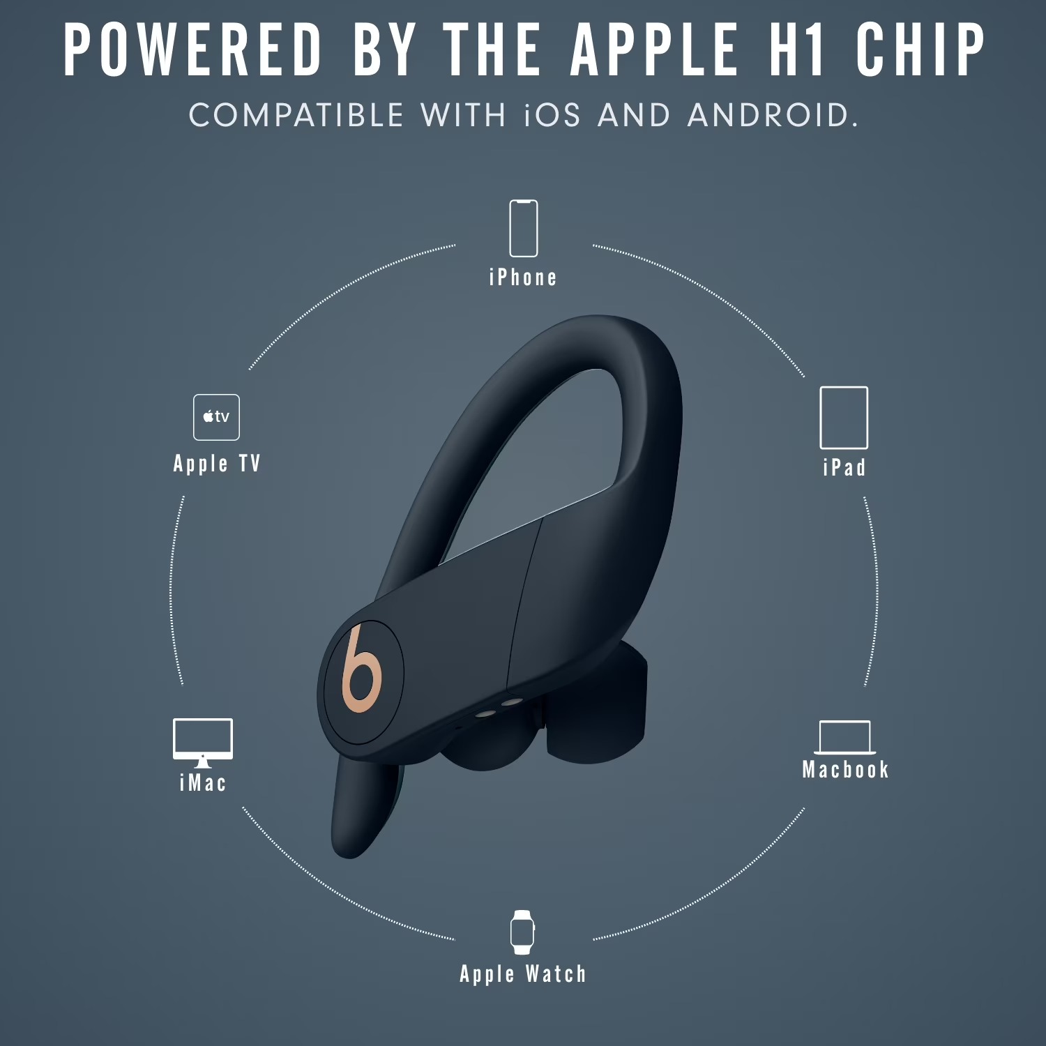 Beats Powerbeats Pro In-Ear Wi - Beats Headphone Powerbeats Pro 评论和价格